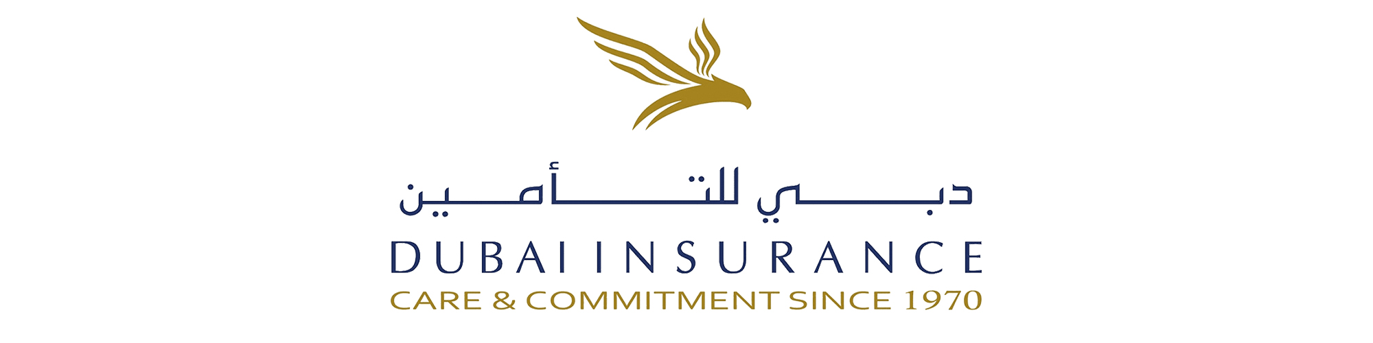 dubai insurance