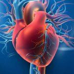 Heart Disease