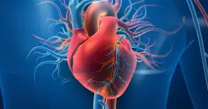 Heart Disease