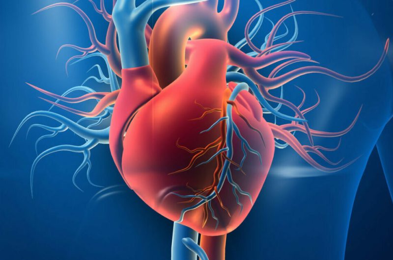 Heart Disease Explained: Early Signs, Types & How to Treat It