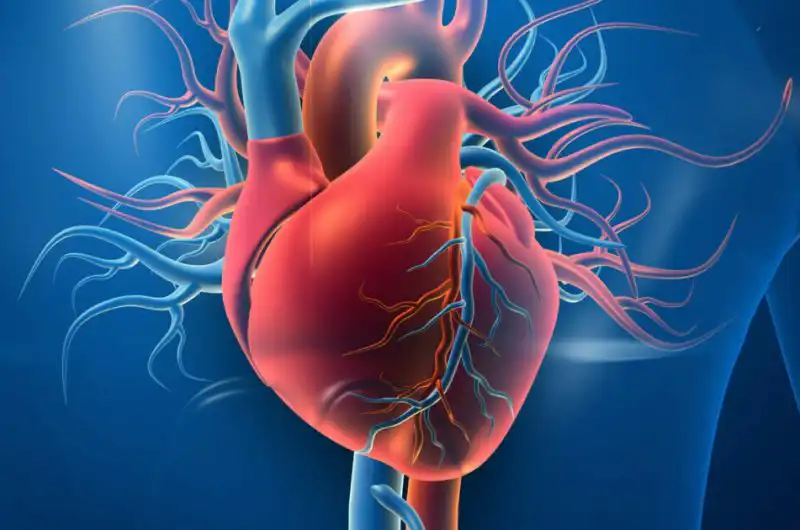 Heart Disease Explained: Early Signs, Types & How to Treat It