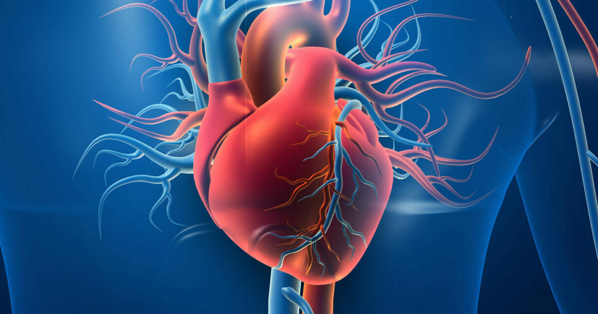 Heart Disease Explained: Early Signs, Types & How to Treat It