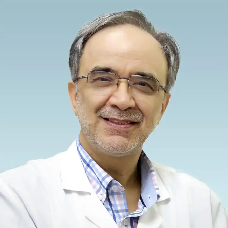 Dr. Seyed Mostafa Hosseini
