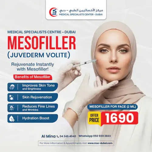 MESOFILLER