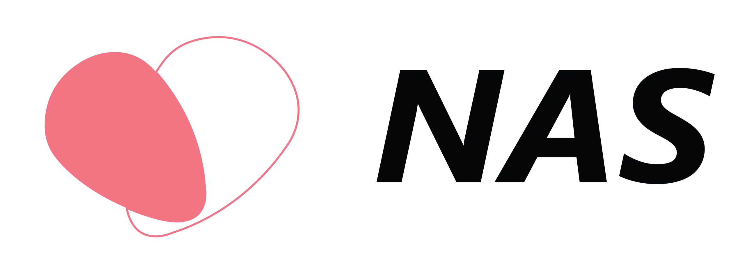 Nas-Logo-01-scaled.webp